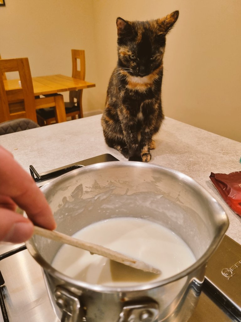 Making cheese sauce under the watchful eye of head chef Peanut.