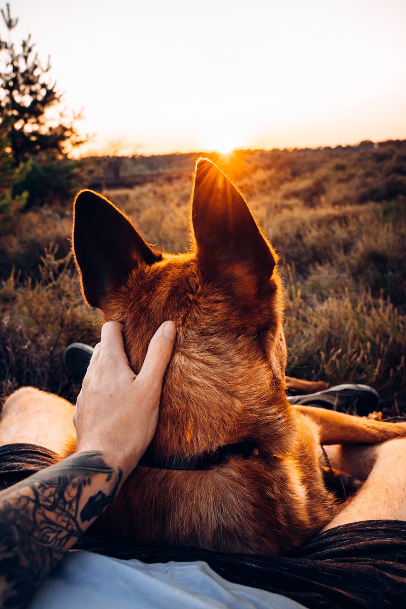 2 Belgian Explorers tweet media