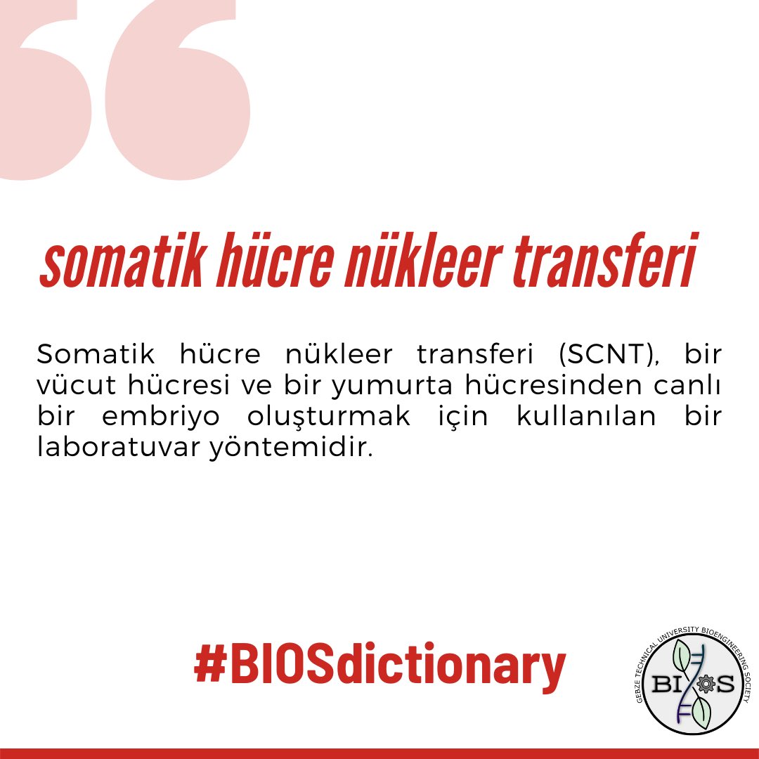BiosGtu's tweet photo. Bir vücut hücresi ve bir yumurta hücresinden canlı bir embriyo oluşturmak için kullanılan laboratuvar yöntemi somatik hücre nükleer transferi #BIOSdictionary’de.
Her hafta yeni bir kelime için bizi takip etmeyin unutmayın 💫 https://t.co/eFcFzLnipZ