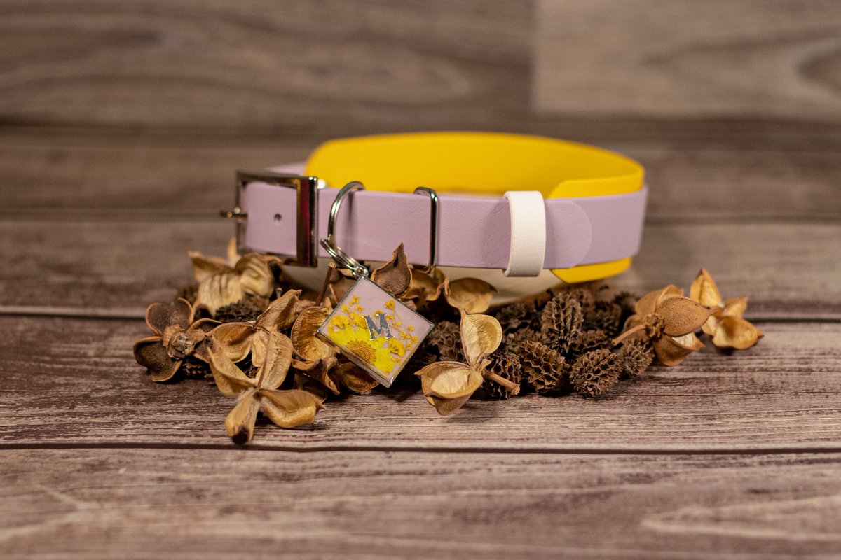 Spring is here! New collection launching 04.03.22! #dogsoftwitter #twitterdogcommunity #practicalpaws #dogmom