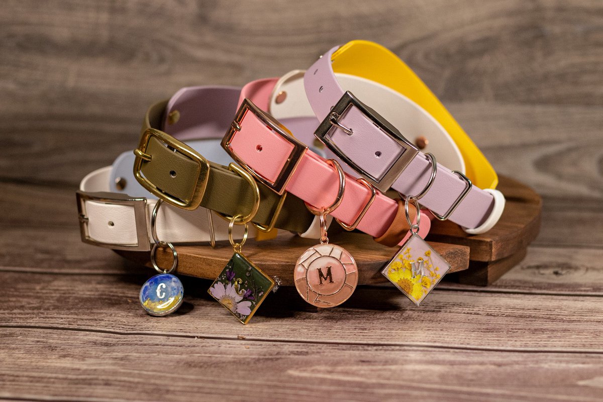 practicalpaws's tweet photo. Spring is here! New collection launching 04.03.22! #dogsoftwitter #twitterdogcommunity #practicalpaws #dogmom https://t.co/Q4nrsPY5Az