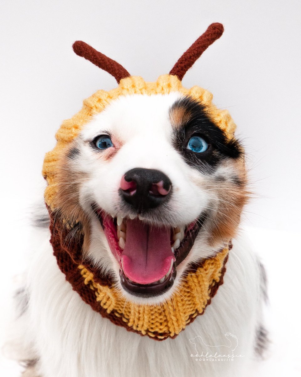 Jessie & Lala Kraan tweet media