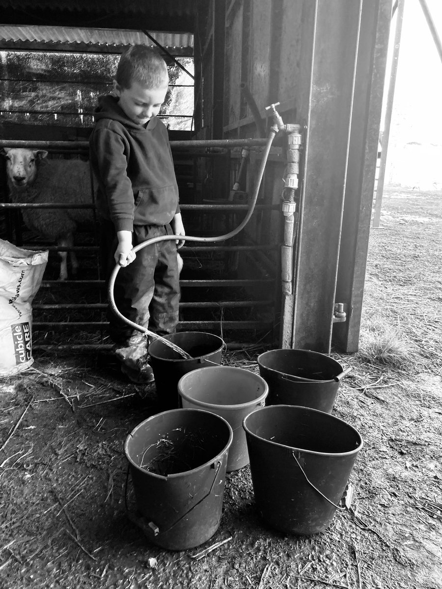 stellaowenphill's tweet photo. Sometimes need some colour β¦ not all is black and white. #halfterm #lambing2022 #haveasafeweekend https://t.co/xPAfGDtVX9