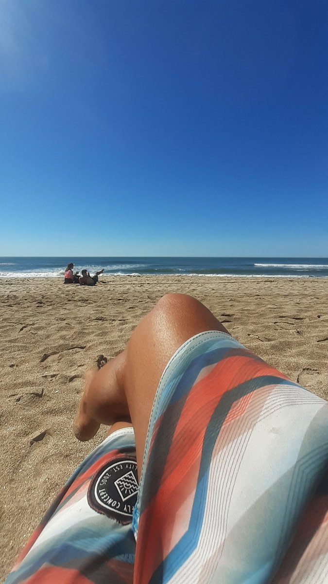peterpinamar tweet picture