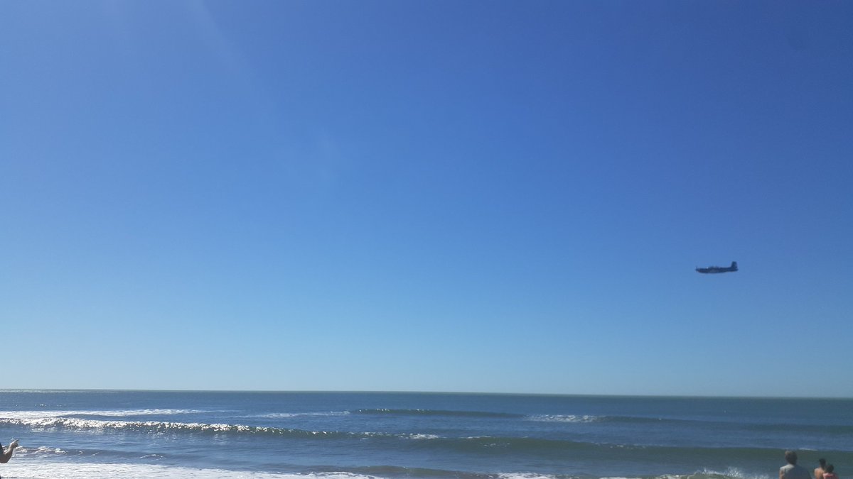 peterpinamar tweet picture