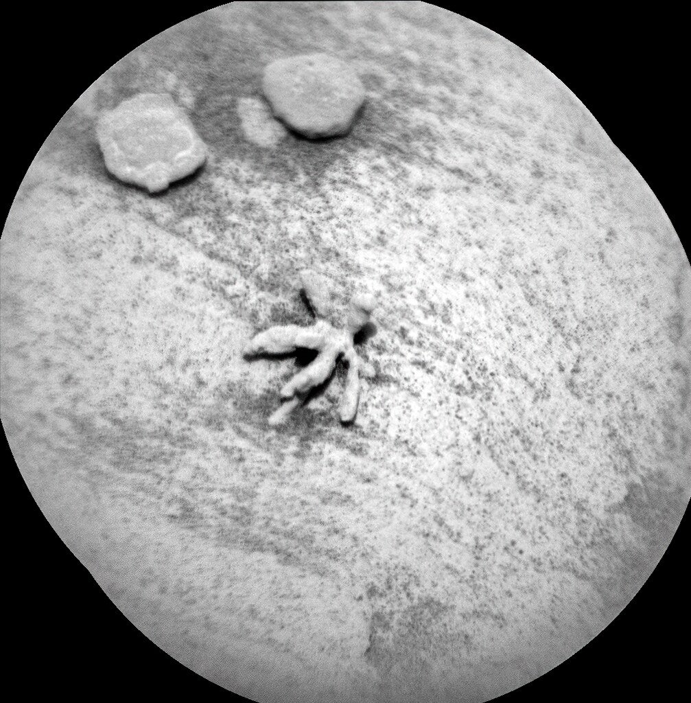 A Martian Flower 🌻. Imaged by @MarsCuriosity yesterday on Sol 3397 using MAHLI and ChemCam. flic.kr/p/2n5xbti flic.kr/p/2n5xbyi flic.kr/p/2n5xkhL