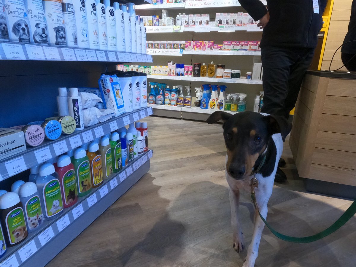 blackheath_v's tweet photo. A big welcome to Blackheath Village @petscorner nice to see some of our 4 legged villagers having a good look around, on opening day. Good luck Guys #blackheathvillage #shoplocal https://t.co/Uif9k19YNx