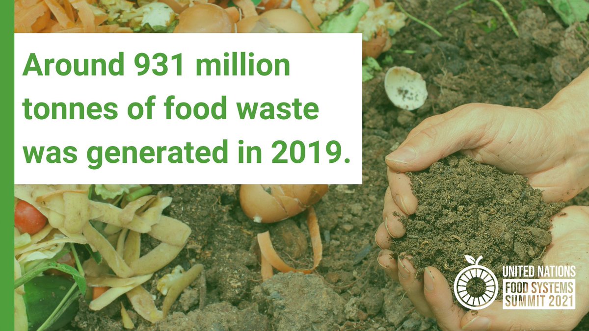Time for your #FoodSystemsFriday fact!

#DYK that around 931 million tonnes of food waste was generated in 2019? 

For more planet-friendly #FoodSystems, we must address #FoodLoss and #FoodWaste.