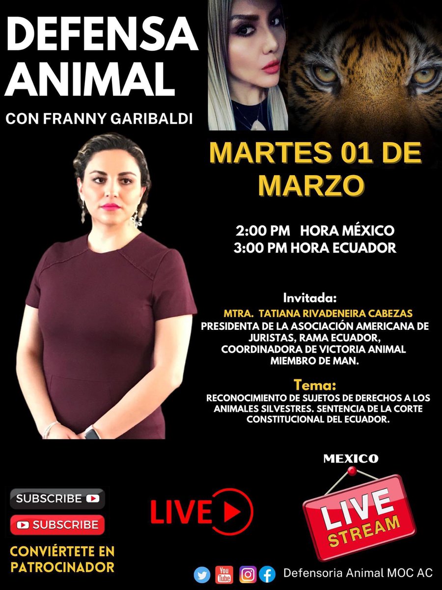 DefensoriaMOC's tweet photo. Desde Ecuador! 
Mtra.Tatiana Rivadeneira Cabezas, Presidenta de la Asociación Americana de Juristas, Rama Ecuador.Coordinadora de Victoria Animal Miembro de MAN
Tema: Reconocimiento de Sujetos de derechos a los animales silvestres. Sentencia de la Corte Constitucional del Ecuador https://t.co/aeSXooexQr