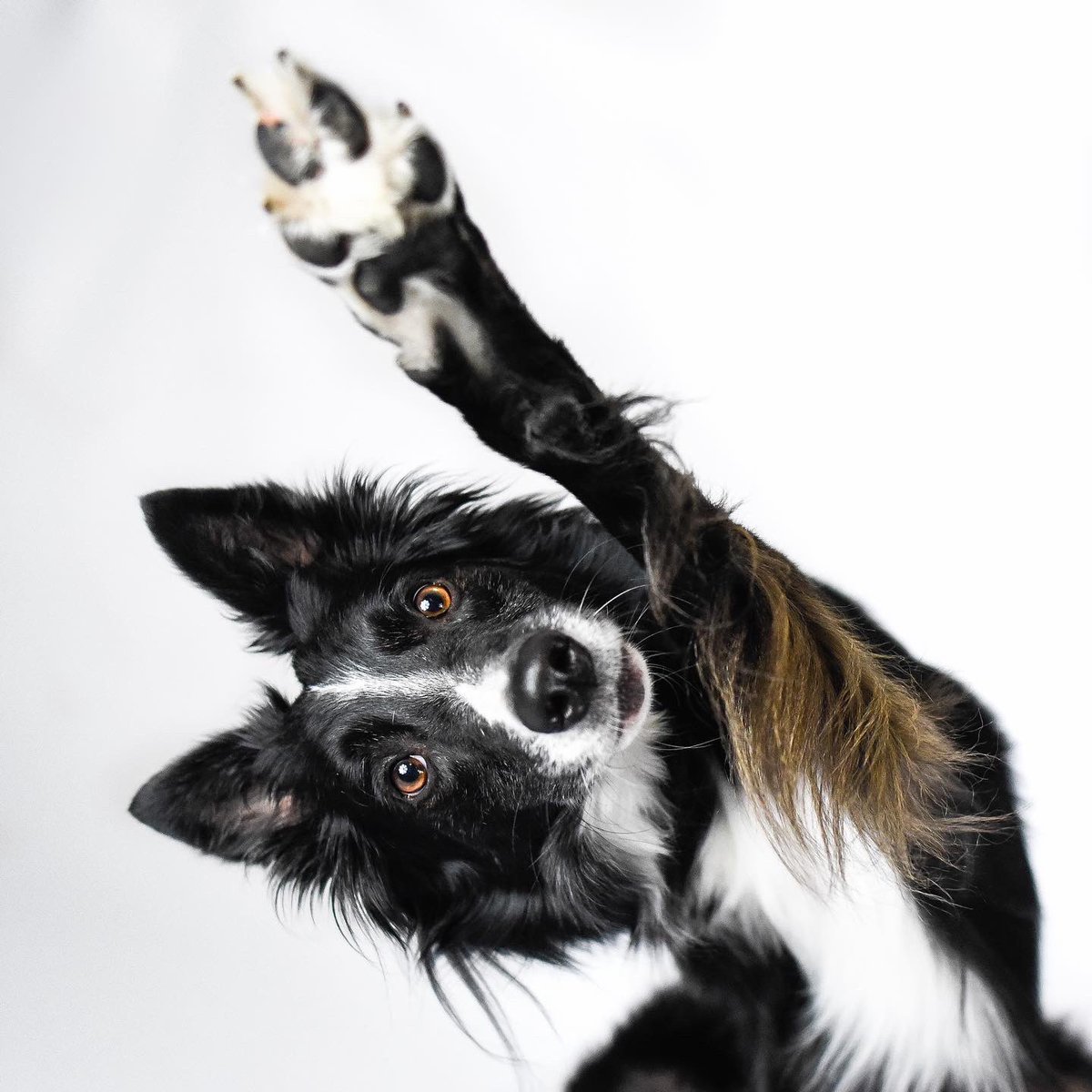 kelly Bove tweet media