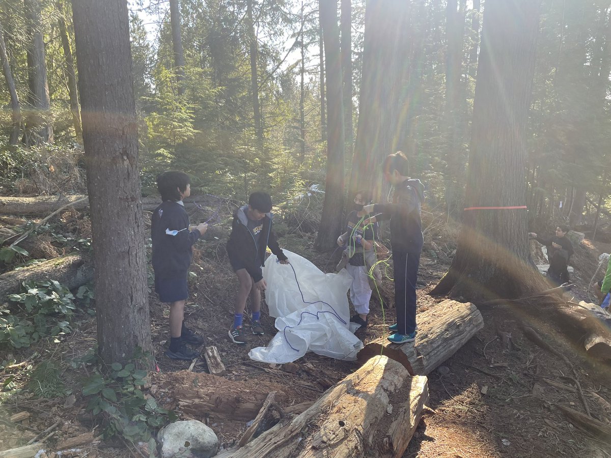 Miss_Minicucci's tweet photo. Our Middle School PHE Outdoor Ed Unit started with building pickleball nets using two knots we learned. Which is now helping us to practice building shelters in our beautiful backyard @MulgraveSchool https://t.co/mgFJFdjuOc