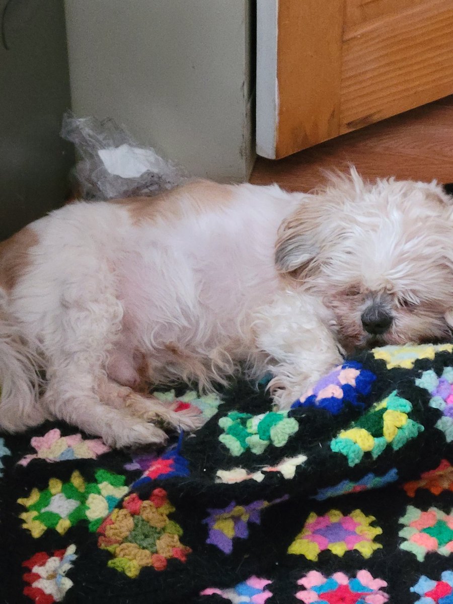 I'm so sleepy.
