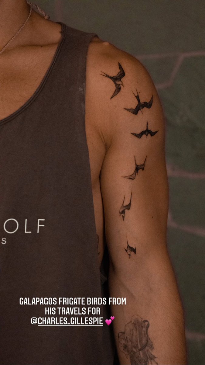 Charlie fez novas tatuagens! São pássaros da região de Galápagos 🥰

📲 | Ghinko (ghinkos) via Instagram story