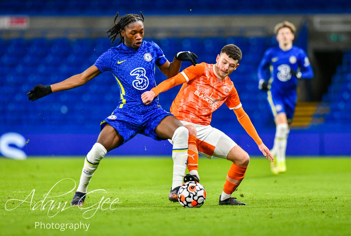 Adam Gee Photography tweet media