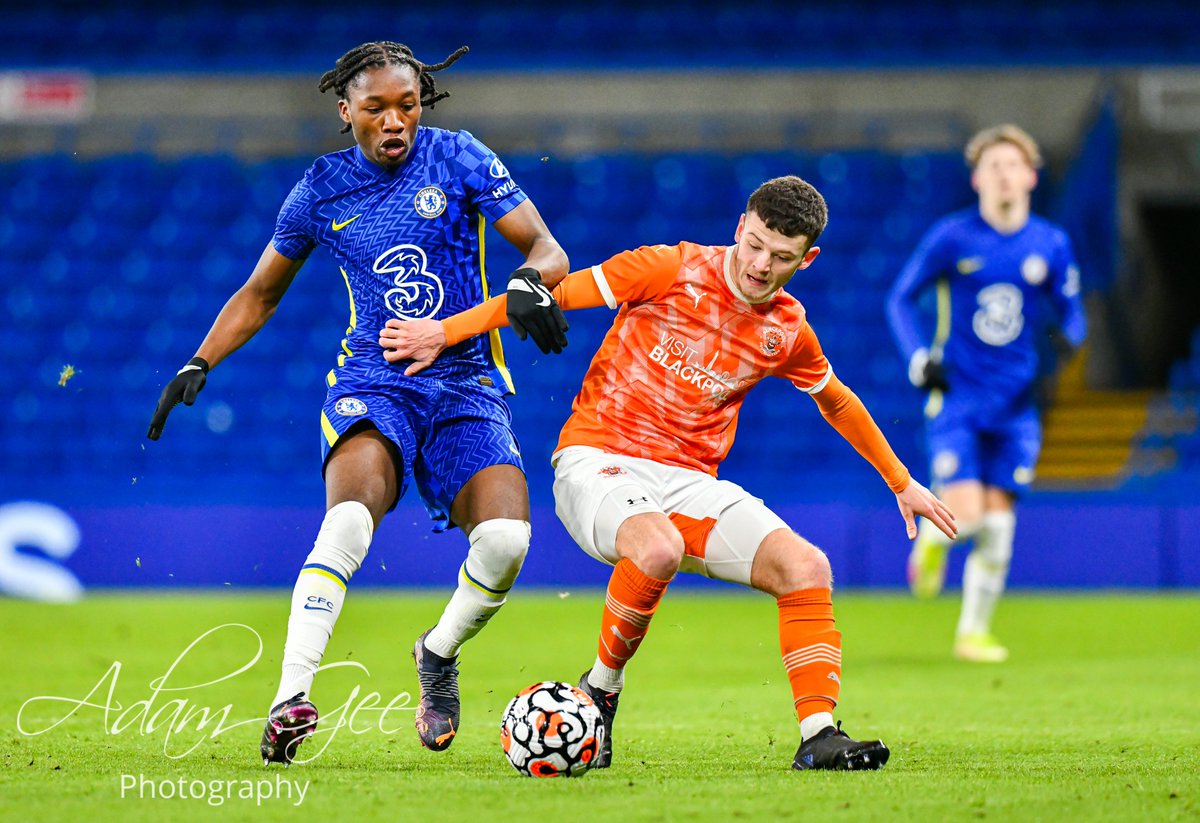 Adam Gee Photography tweet media