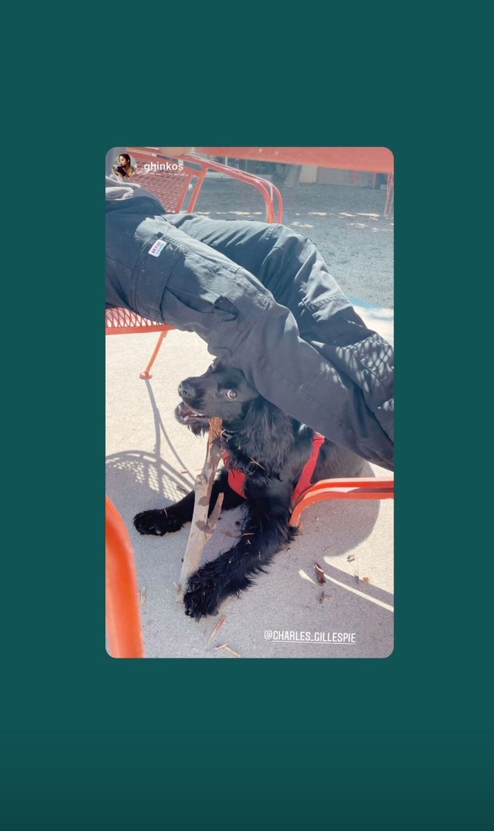 📲 | Charlie (charles_gilleslie) via Instagram story