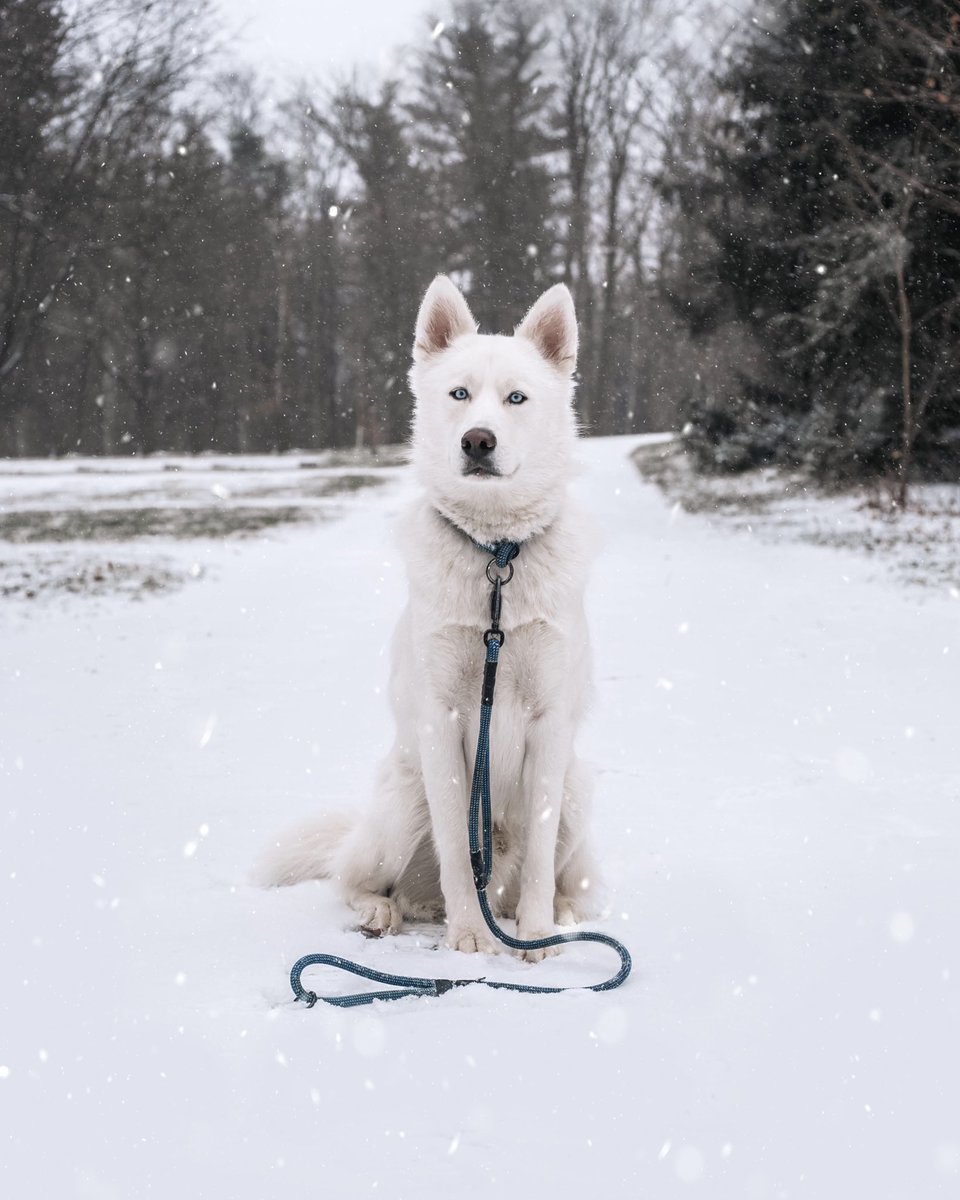 Jasper + Lexy tweet media