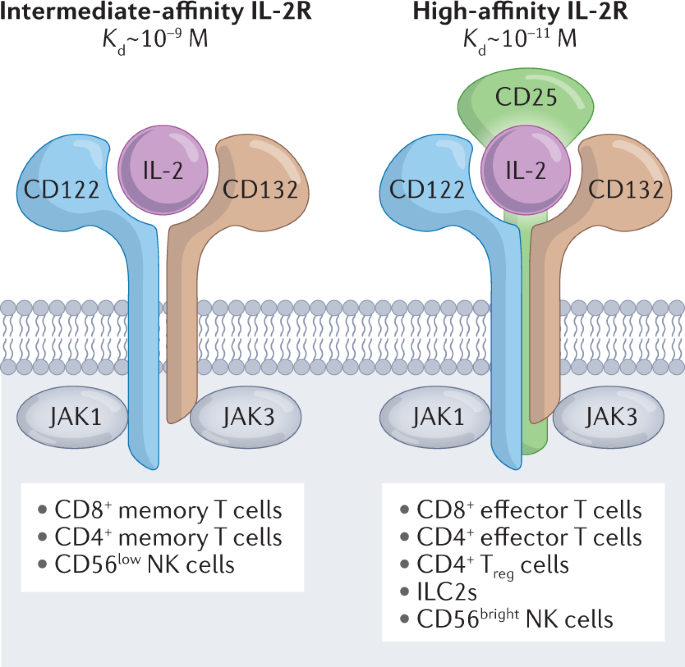 Nature Rev Immunol tweet media