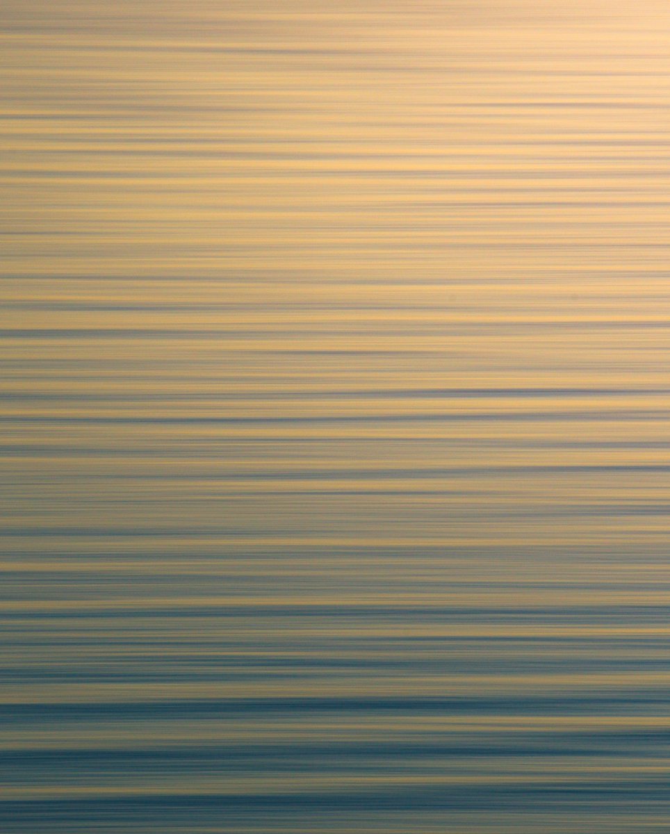an endless ocean of gold 💛