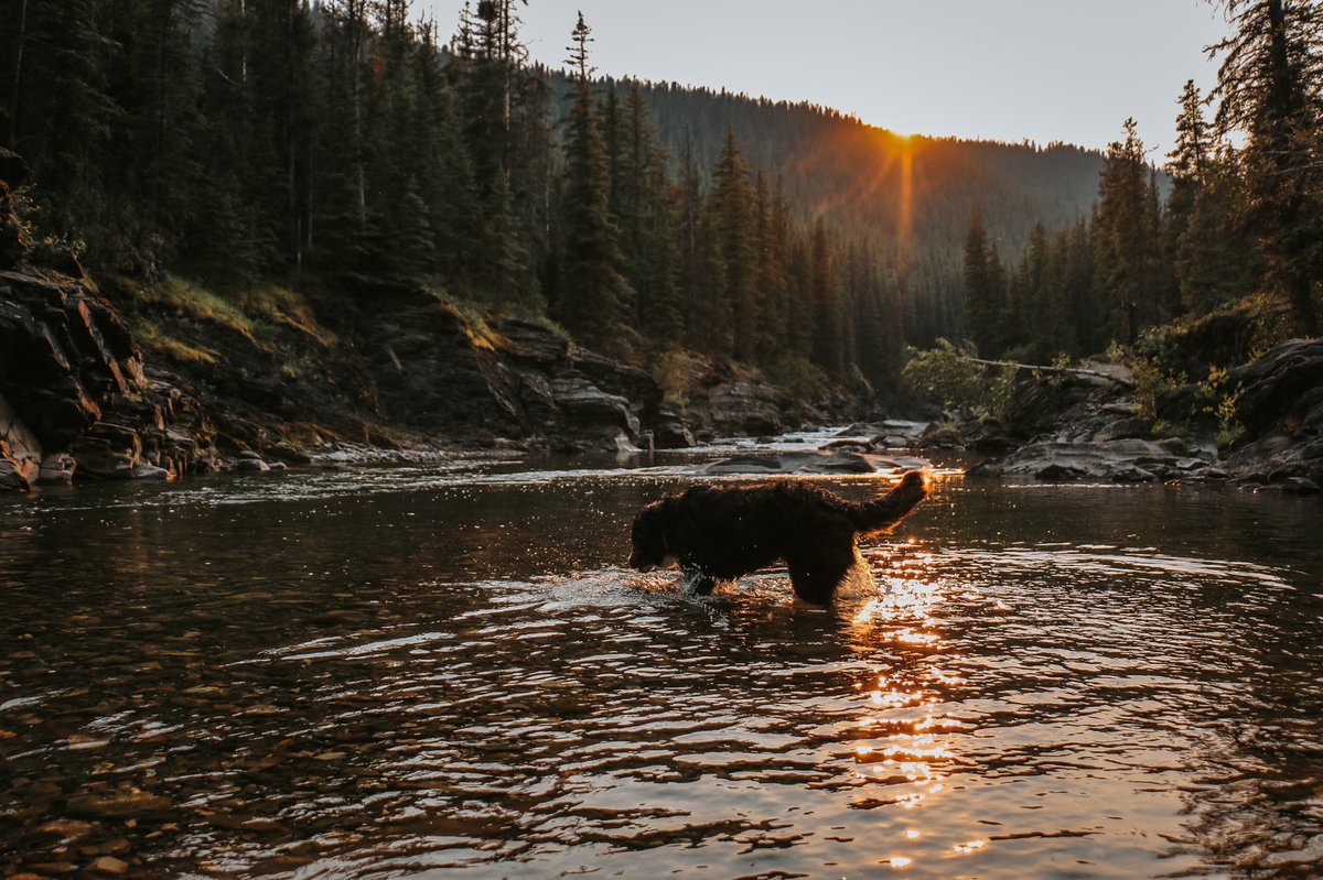 Fynn & Mandee tweet media