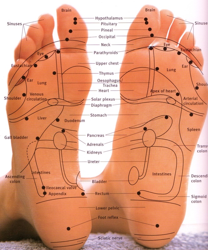HolisticPracLA's tweet photo. In LA?  Try reflexology for yourself or give a as a gift for a special occasion.
https://t.co/PICbMGRdI4 https://t.co/5YLXoUCDEd
