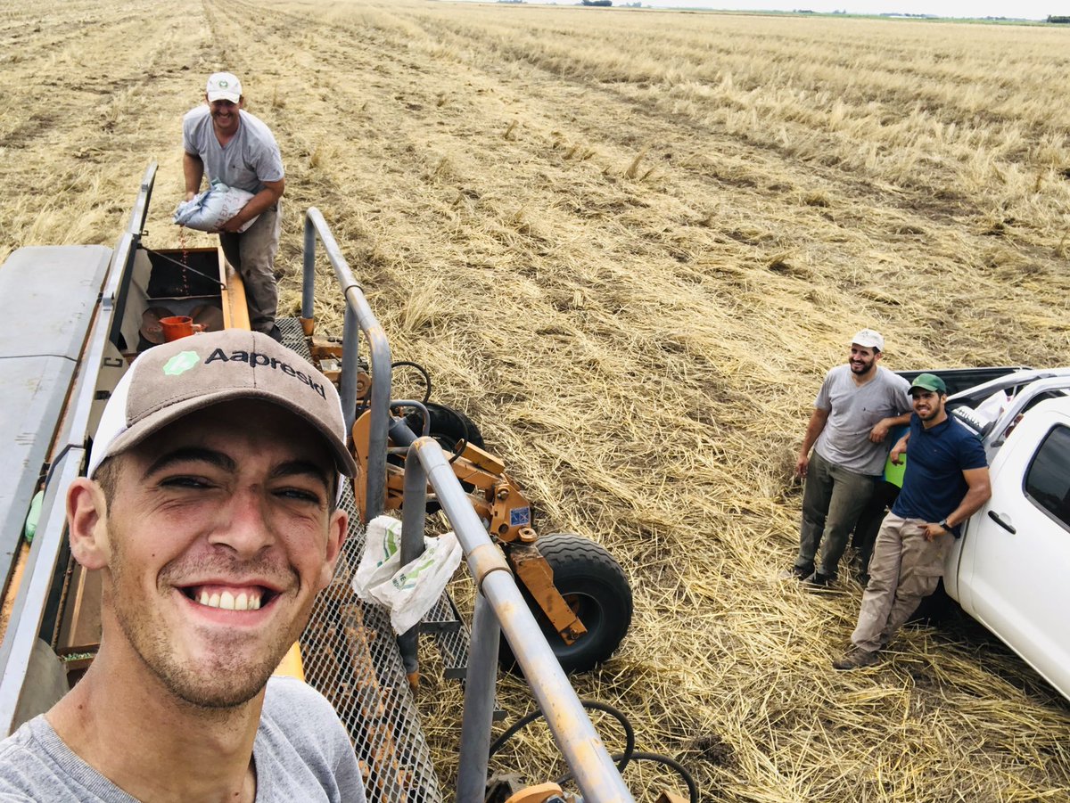 La #AgriculturaDigital aporta datos clave en ensayos muy interesantes en pleno sudeste cordobés. 🤳 Tienen que ver con el #maíz y los lidera el Ing. Agr. <a href="/fbardeggia/">Franco Bardeggia</a>, de <a href="/aapresid/">Aapresid</a>. 🌽 Te lo contamos a fondo en una nueva nota del blog de #FieldView. 
👉 bit.ly/3siNPTq