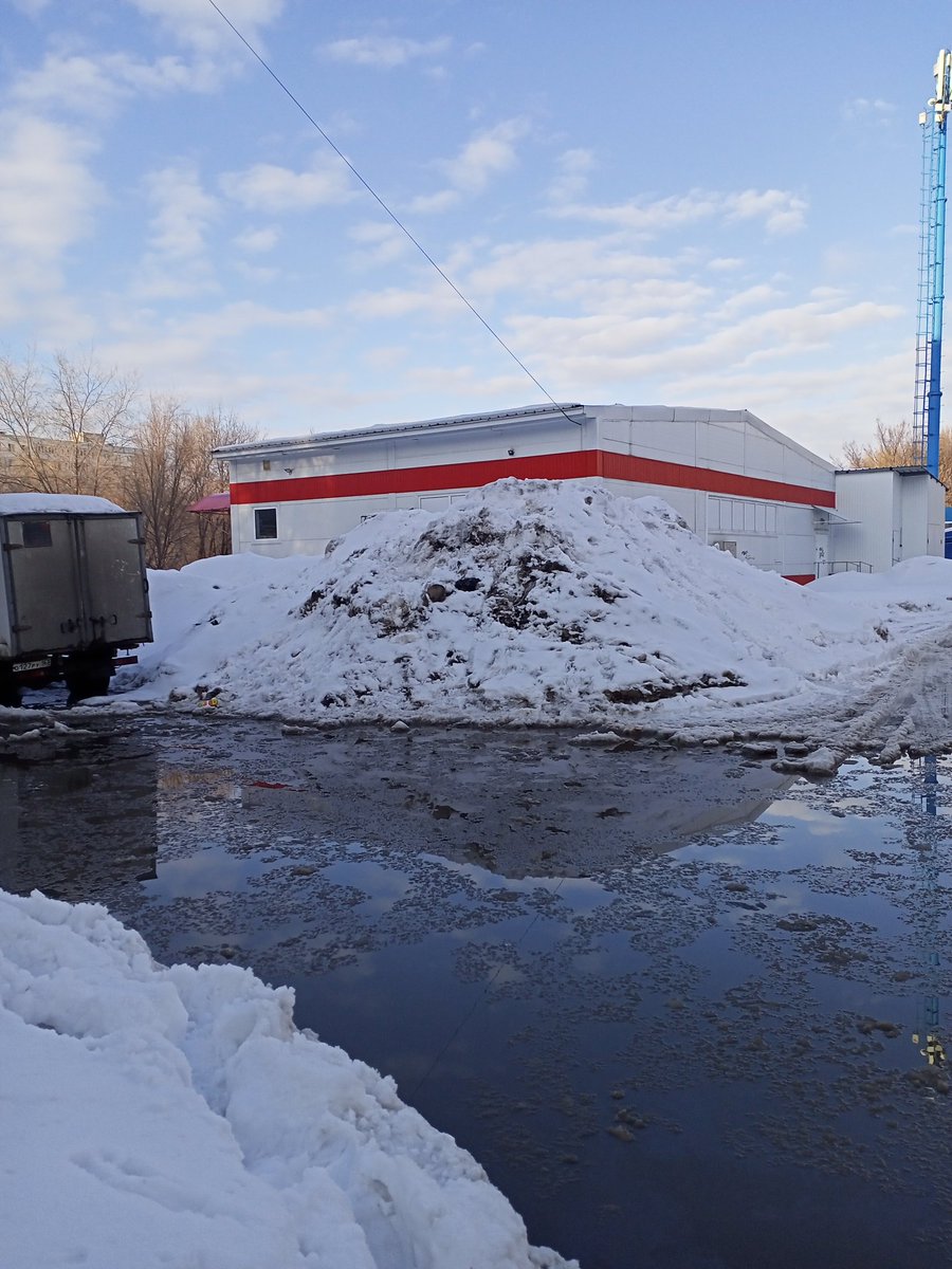 Светлана Лусис tweet media