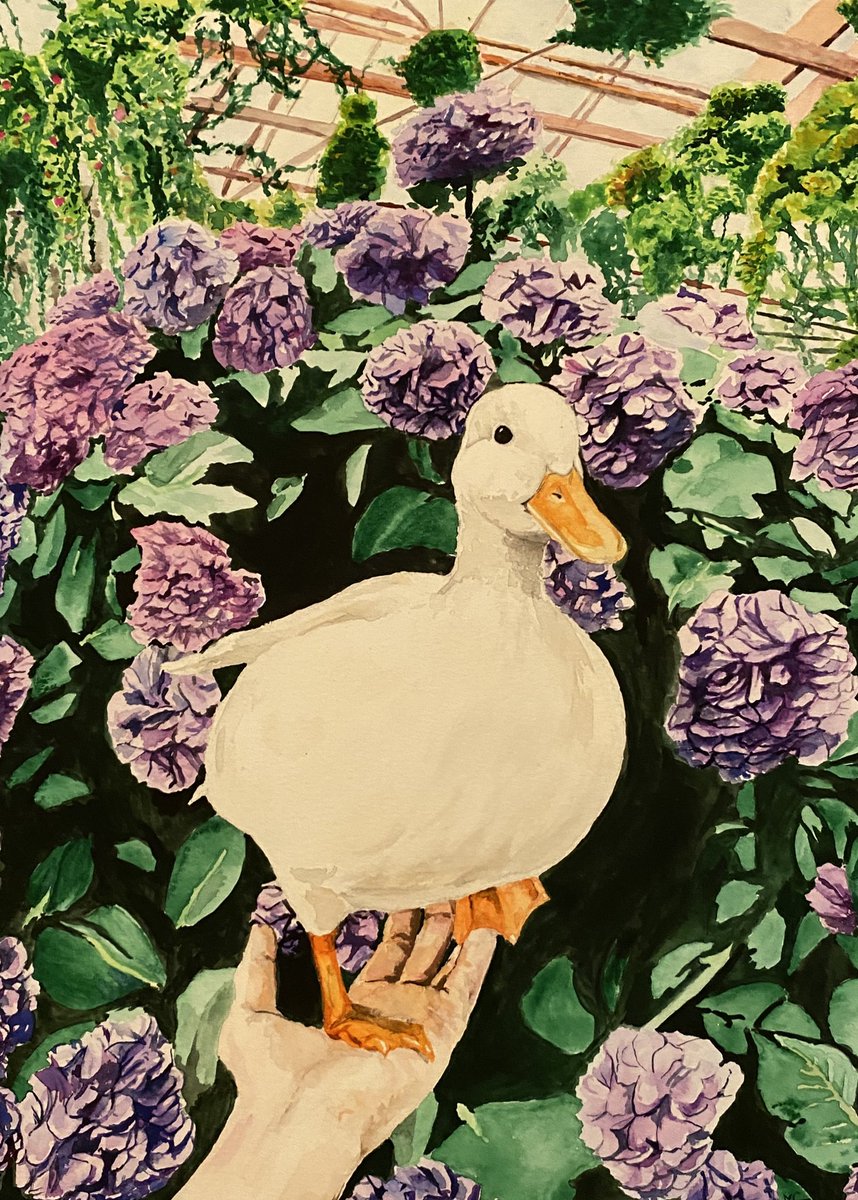 milesgaborit's tweet photo. Still having fun with these watercolors. Here’s a duck (in a hand) in a greenhouse I finished last night. https://t.co/d1tIbw5Gnn