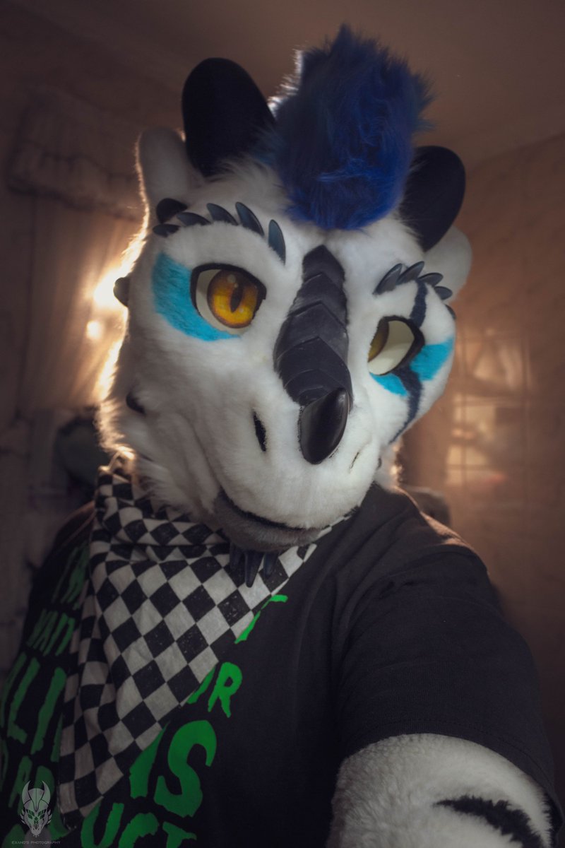 ExanoTheDwagon's tweet photo. #FursuitFriday https://t.co/VT5XZPvyaL