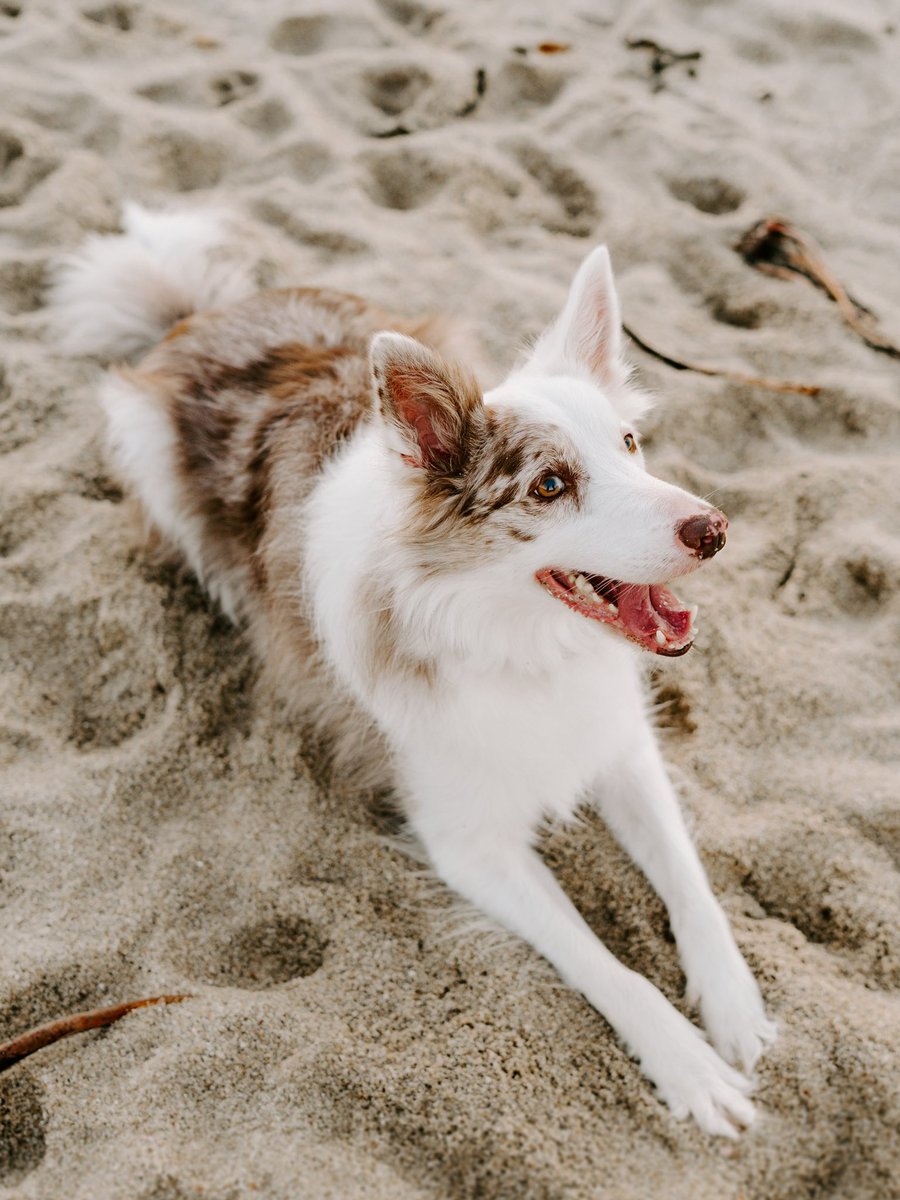 Willow and Emma tweet media