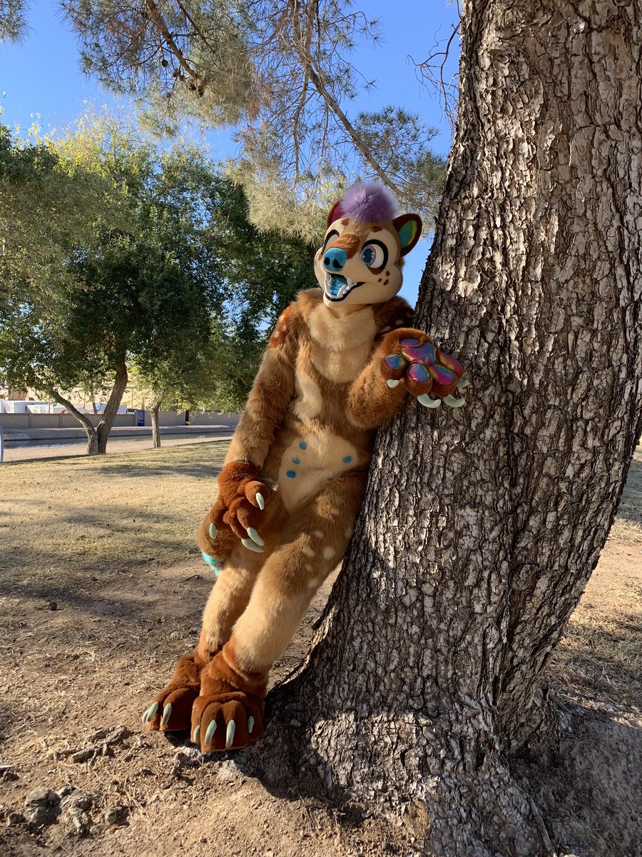 Sunny_Puppyy's tweet photo. Hi! I’m looking to sell my @LivingCarousel coatimundi! Comes with character rights &amp; art, aswell as the entire fullsuit! Can fit a wide range of height (5’2-6’0), fits most comfortably for someone 130-155lbs.Looking for $3.5k since I purchased for $3.9k. Comment/DM if interested! https://t.co/IOQ1vK6kx7