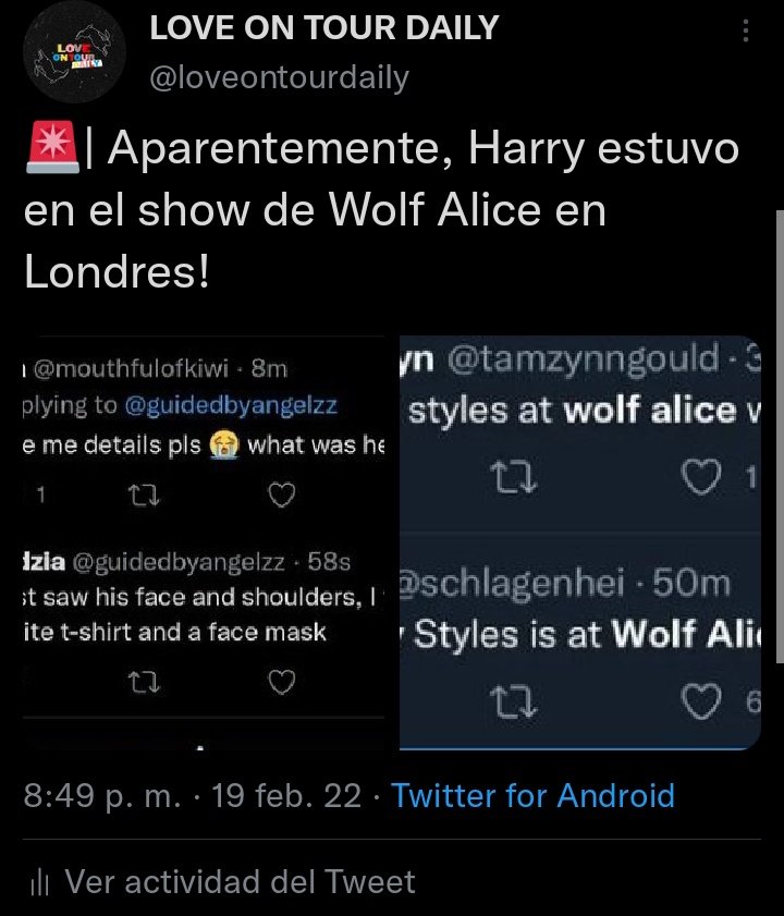 IvoRenner's tweet photo. 🚨Harry fue visto en el show de Wolf Alice el fin de semana👀 https://t.co/QK4t4QQgCD