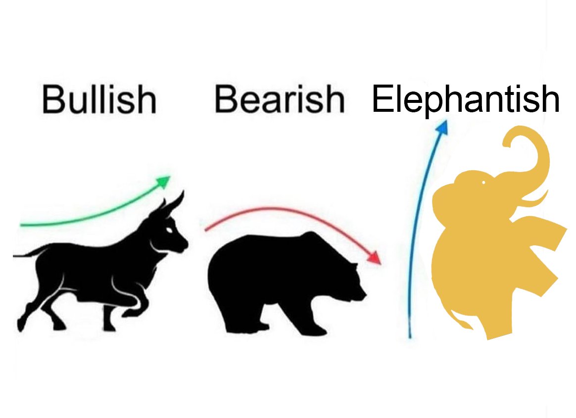 WELEPHANT tweet media