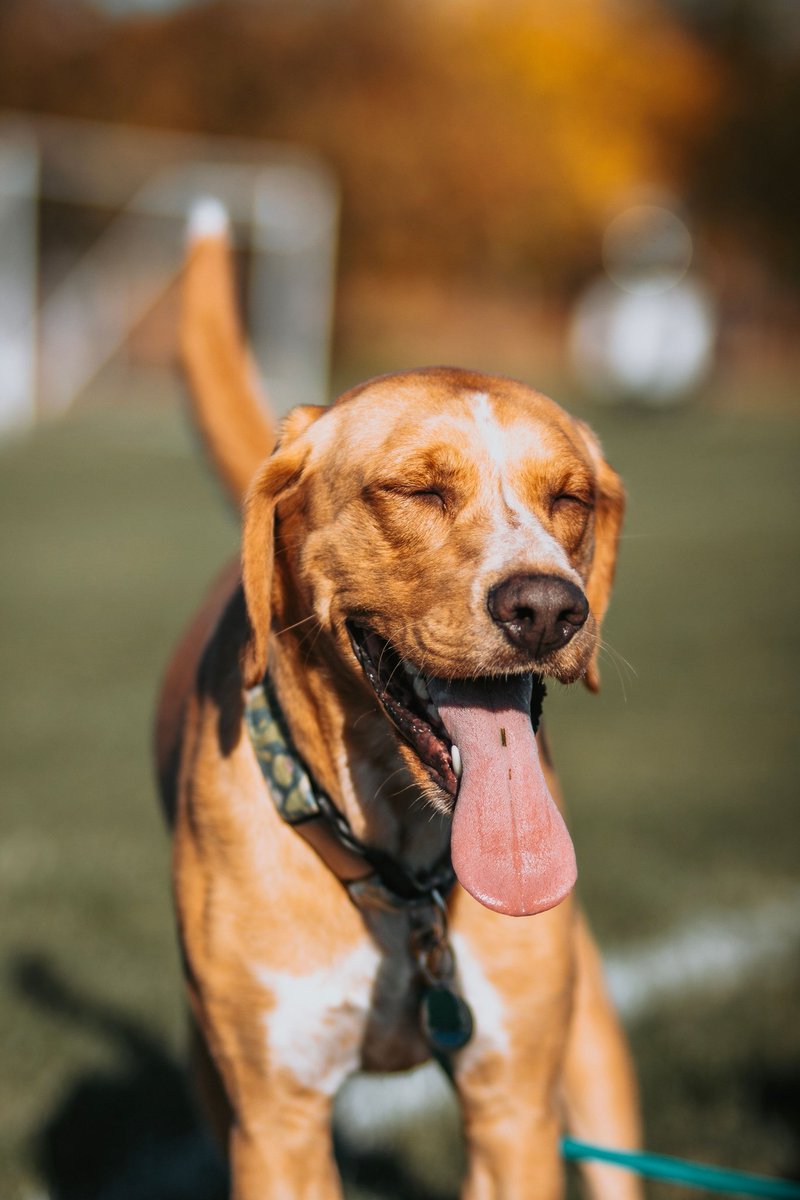 Groot & Riley tweet media