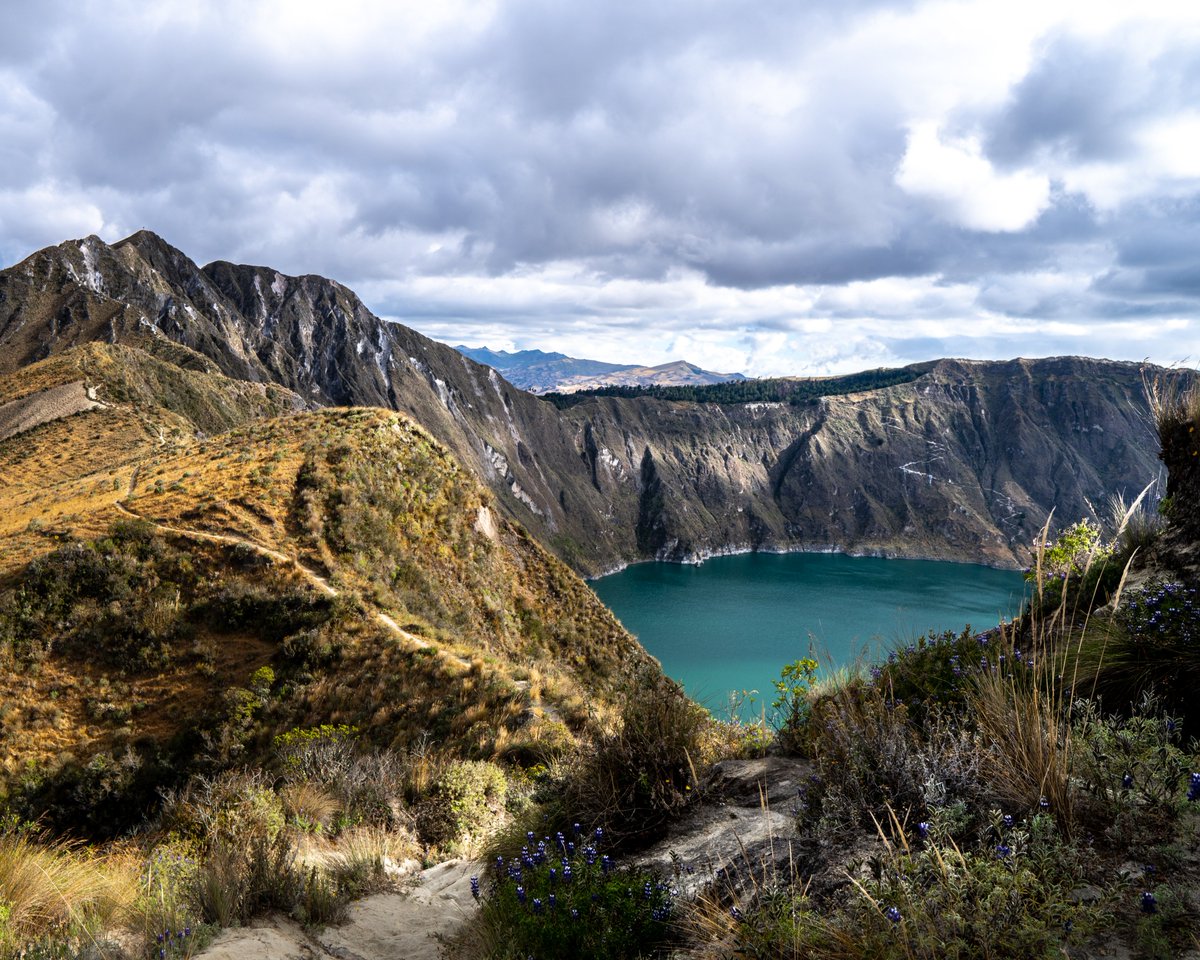 daylizshot's tweet photo. Hi! my name is Dayliz and I'm a landscape photographer/filmmaker based in Ecuador. I'm interested in learning about #NFT and #nftart which is why I'm now here on Twitter. I'll be sharing my work and trying to learn as much as possible #nftphotography #nfts https://t.co/cwe2bq3DVa
