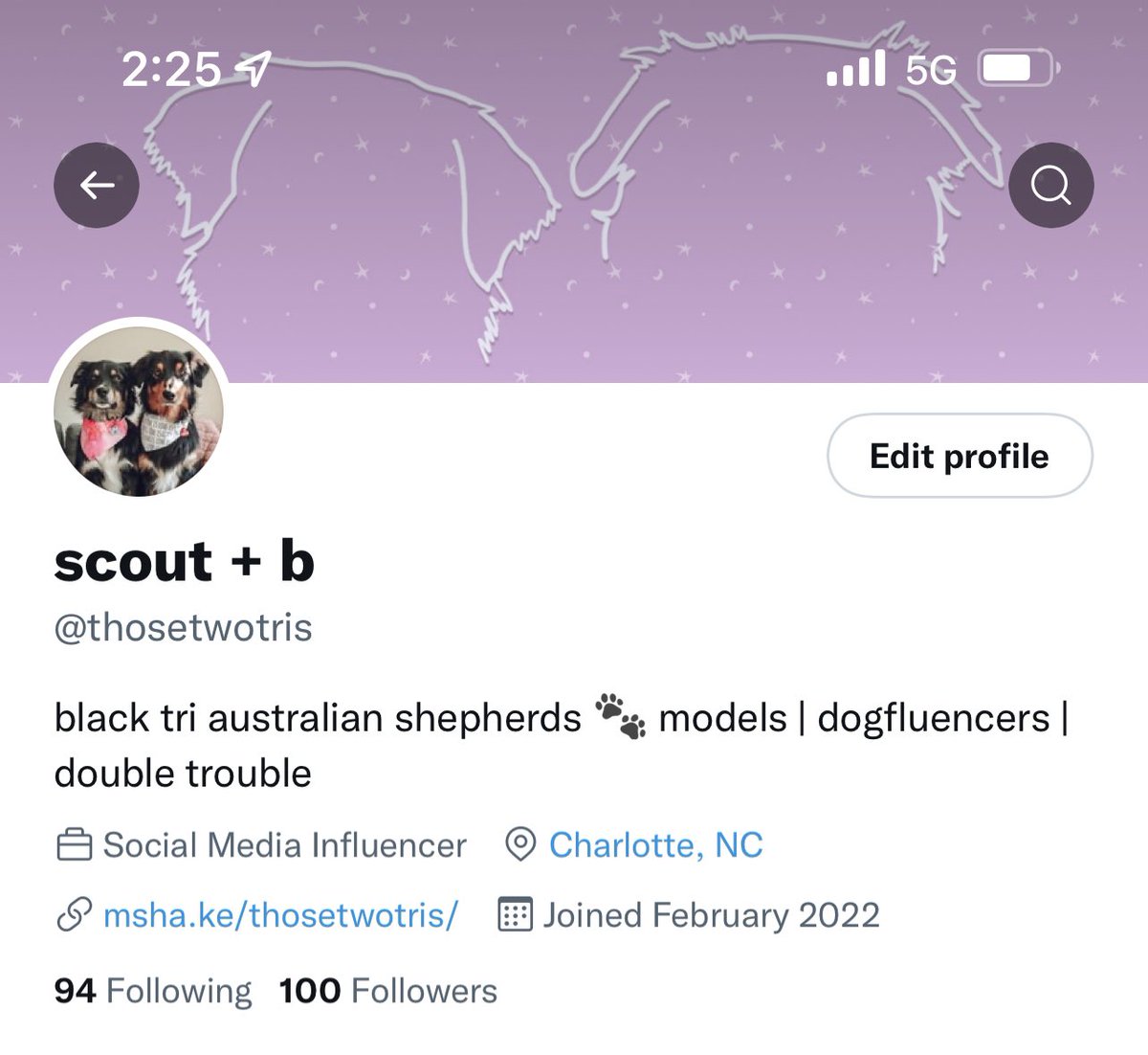 WE DID IT 🙌🏼 100 followers in less than 24 hours. haven’t gained that many on IG in months 🤩