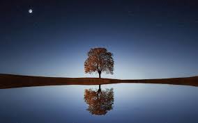 GiftFromTheHrt's tweet photo. Reflection can help us all become more aware of ourselves and our surroundings. How can you help others? What will make you feel good inside? We think we know the answer...volunteering for a charity! #charity #volunteer #dentalhygienists #gfth #makingadifference #savinglives https://t.co/Kyecfvp4HY