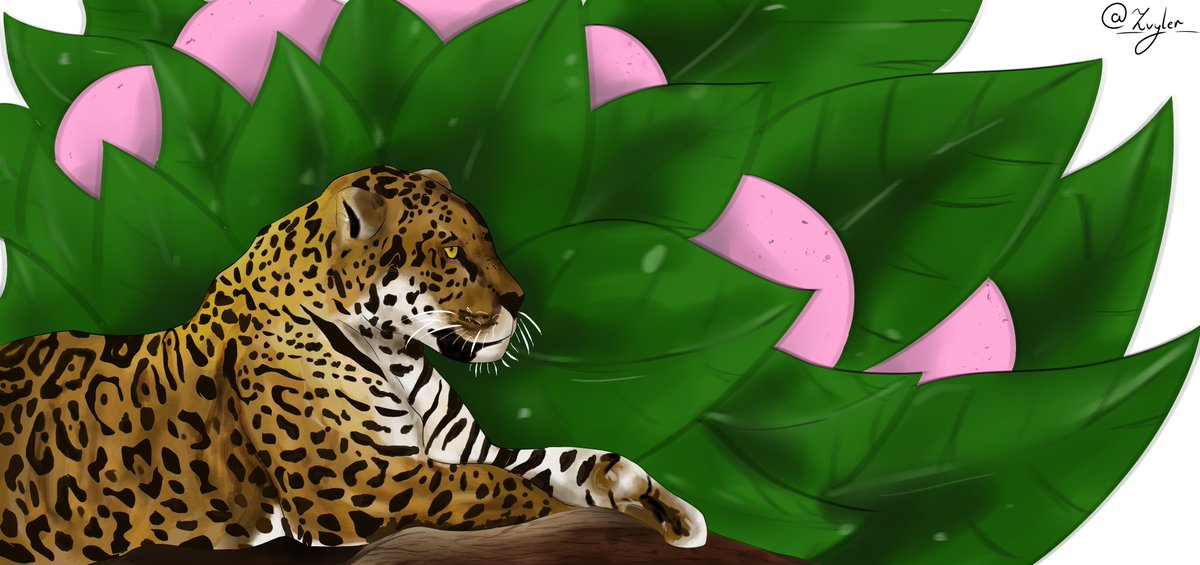 _Zvyler_'s tweet photo. leopard

#art #leopard #artists #digitalart #ArtistOnTwitter #nature https://t.co/Y7xk3FGDpU