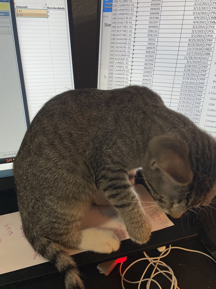 pattygilliam's tweet photo. Someone thought they could help today when I worked at home so everyone didnβt have to listen to me sneeze all day. #hatecolds #sudafedtotherescue https://t.co/GRNTeSFrFh