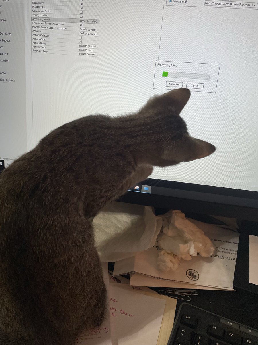 pattygilliam's tweet photo. Someone thought they could help today when I worked at home so everyone didnβt have to listen to me sneeze all day. #hatecolds #sudafedtotherescue https://t.co/GRNTeSFrFh