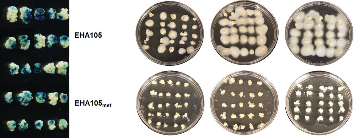 tim 🐈 tweet media