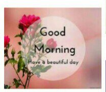 Good Morning Everyone!🌞🌷👼💚
...Stay safe &amp; God Bless you all.🙏