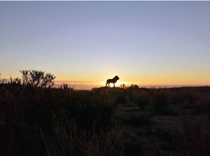 Visita Guanaqueros, IV Región
<a href="/sernaturcoquimb/">SERNATUR Coquimbo</a>
<a href="/LuisAndaur1/">Luis Andaur</a> 
<a href="/gorecoquimbo/">Gobierno Regional de Coquimbo</a> 
<a href="/Mbrownp/">Mauricio Brown Pinto</a> 
<a href="/SHENEETA/">Susana Araya Trigo</a> 
<a href="/AdarosRosana/">Rosana La Serena</a> 
#lacanchanomiente
#loscuentosdejenselosadisney
#guanaqueros 
<a href="/turismocoquimbo/">Turismo Coquimbo</a> 
<a href="/antonei14/">antonei</a>