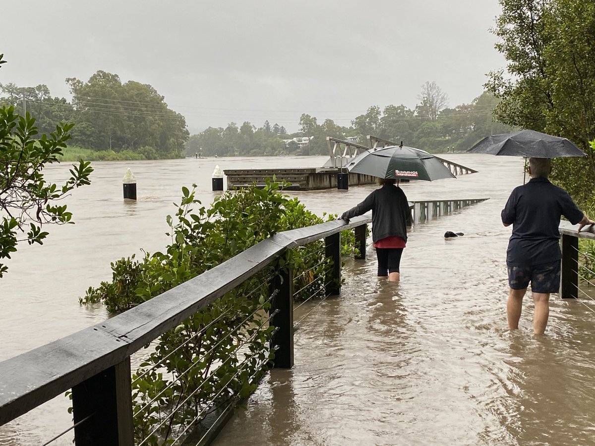 Almost lost a black lab trying to using the flooded boardwalk at sherwood. The pontoon is almost ready to float away