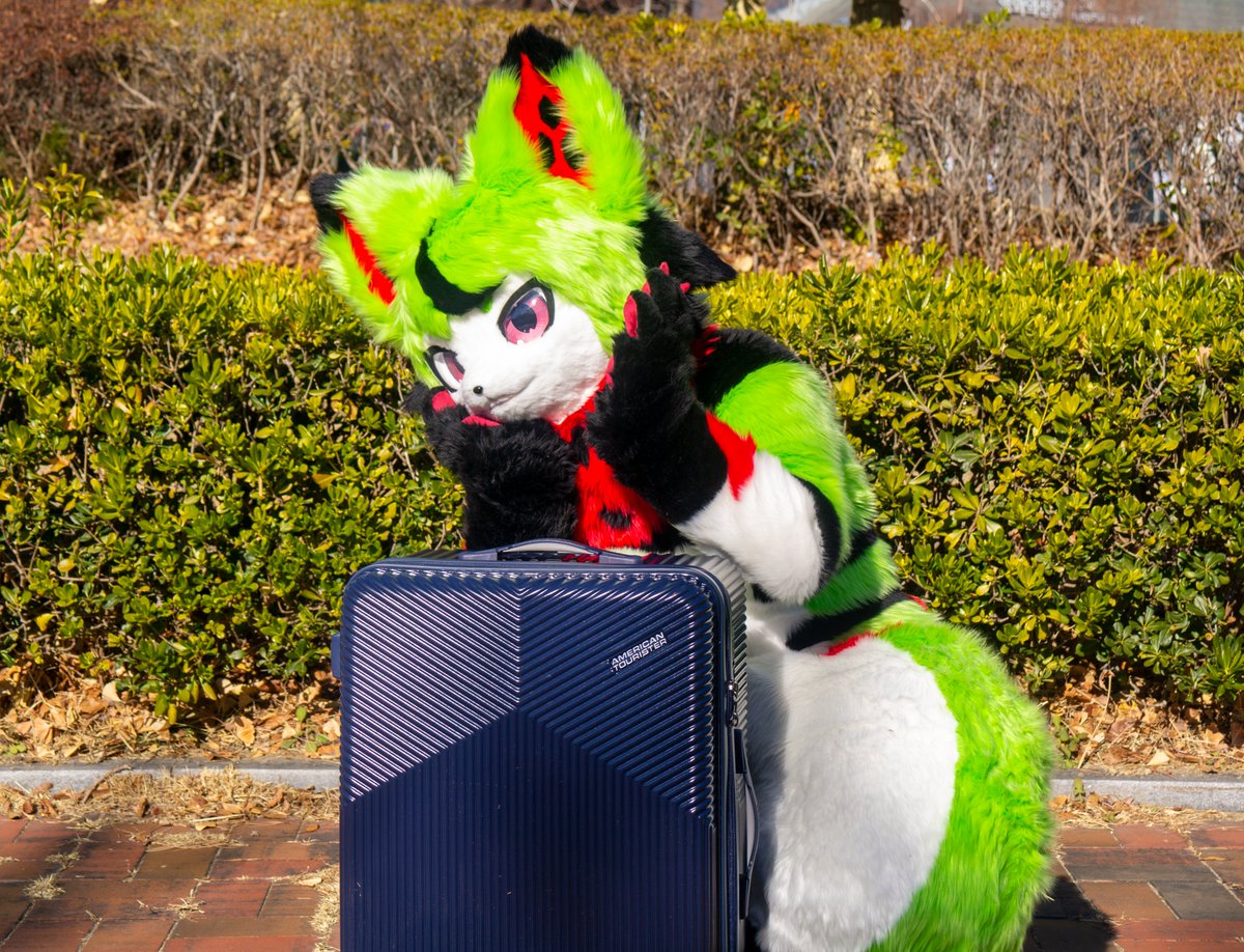 Anbur_Furry's tweet photo. 🍉: 수우박 꽃이 피었습니다~😋
#fursuit #zerokemo https://t.co/87jO9L4TqB