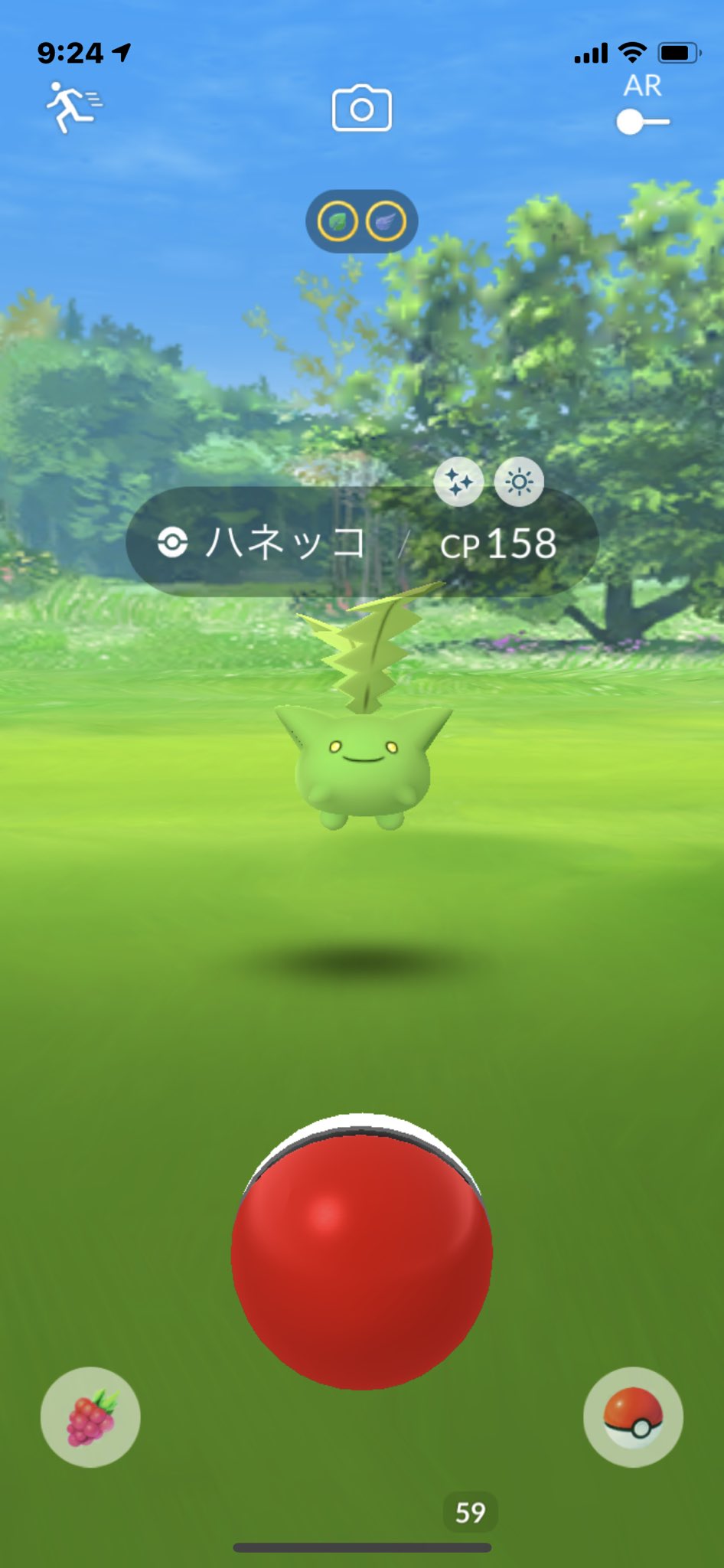 ちなみん ハネッコ色違いきたぁー ポケモンgo T Co Yiio0gjfad Twitter