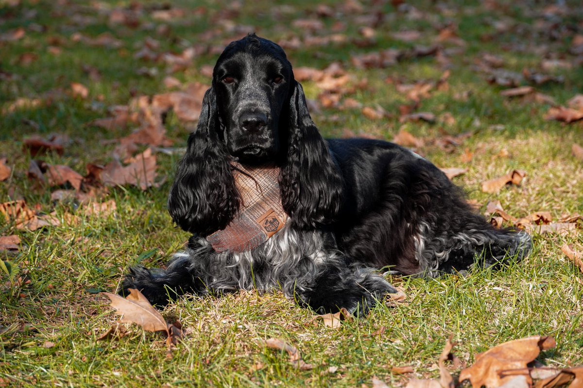 JC & Raven tweet media