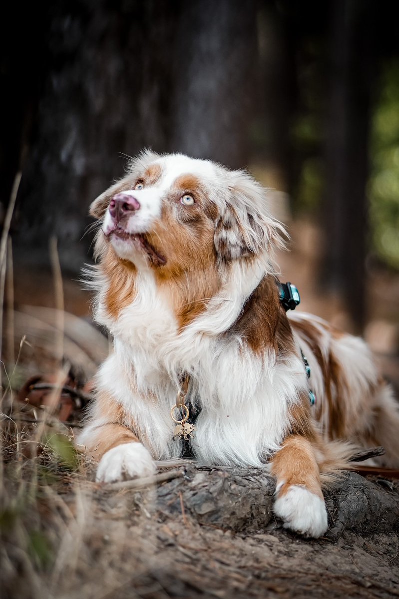My face trying to figure out how to use twitter. Ps. I sincerely apologise to who ever had to just witness me a accidentally retweet a bunch of peoples posts thinking I was liking/commenting on them 😂