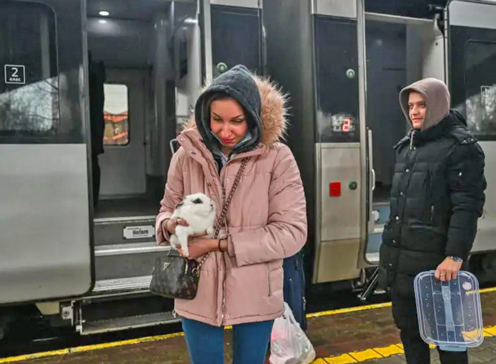 Signor Ted tweet media