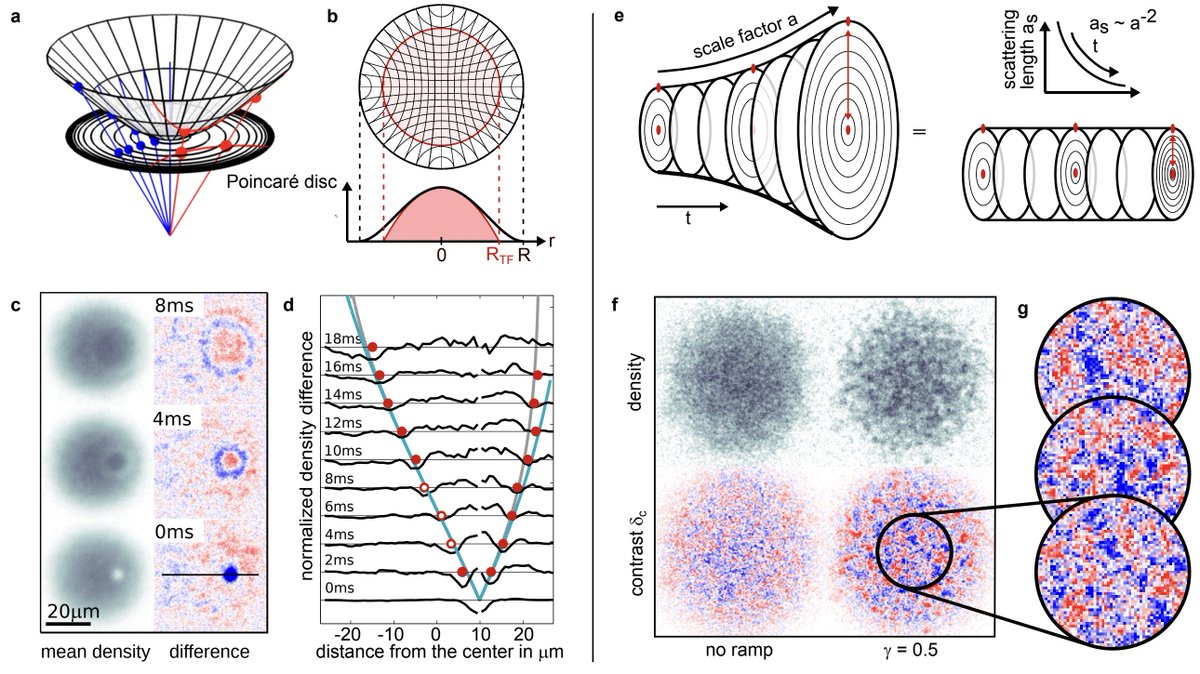 Atomic Physics (Past & Present) tweet media
